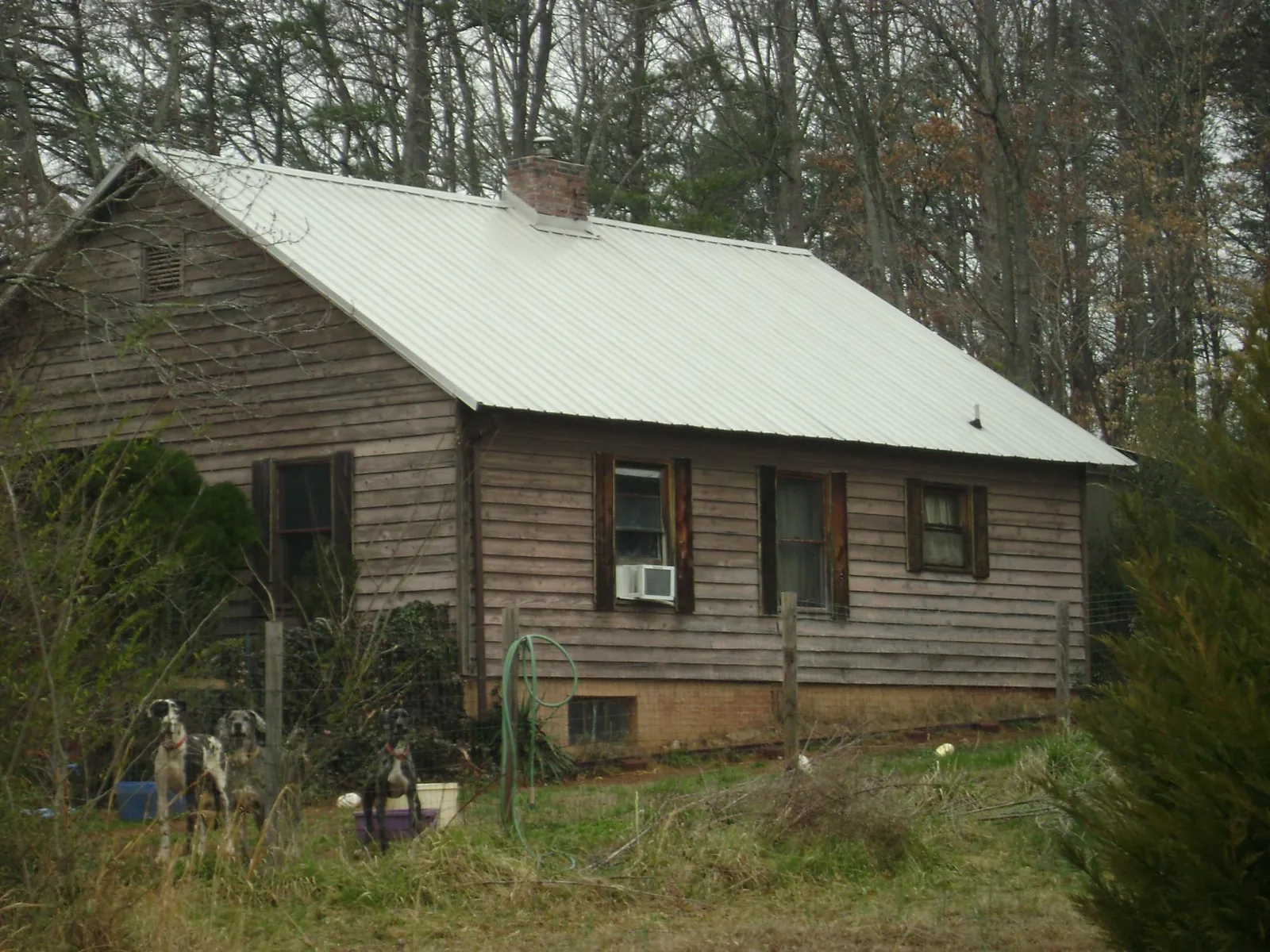White metal roof on an old wood sided farmhouse, from a Asphalt Shingle Roof Repair job in Peaks Island